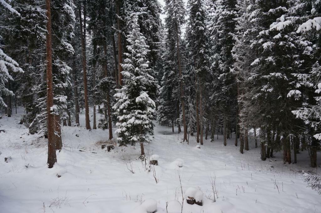 Paradies 017 Arosa